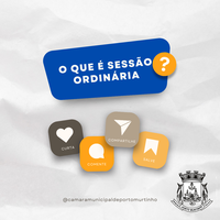 Você sabe o que é Sessão Ordinária ?